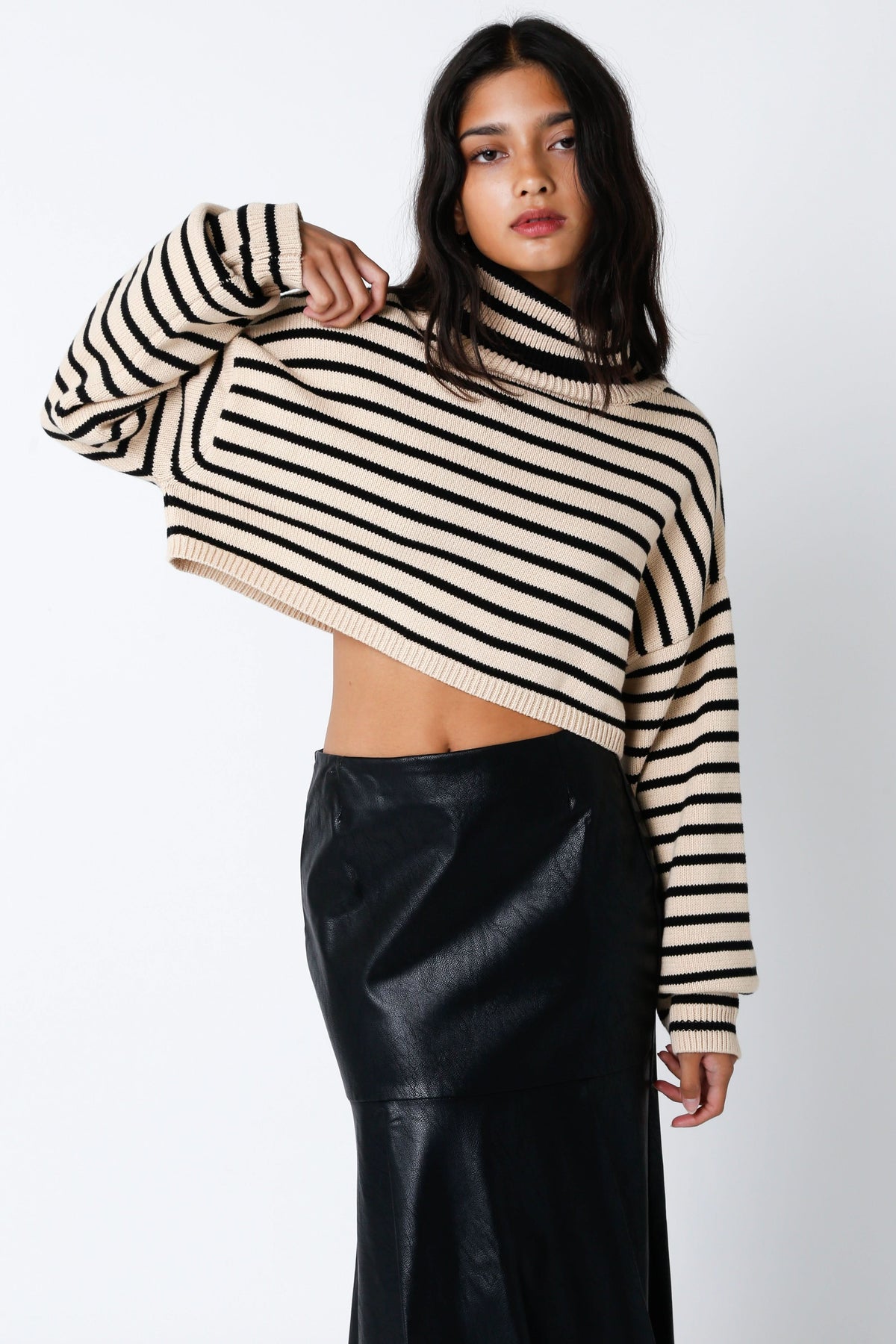 Marla Natural & Black Striped Cropped Turtleneck Sweater